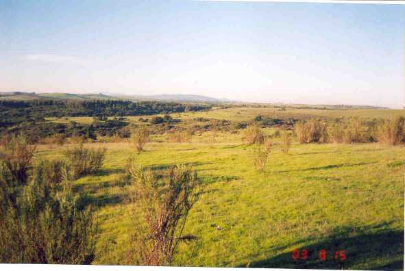 foto_02.jpg