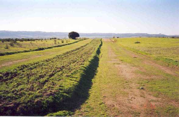 foto_03.jpg
