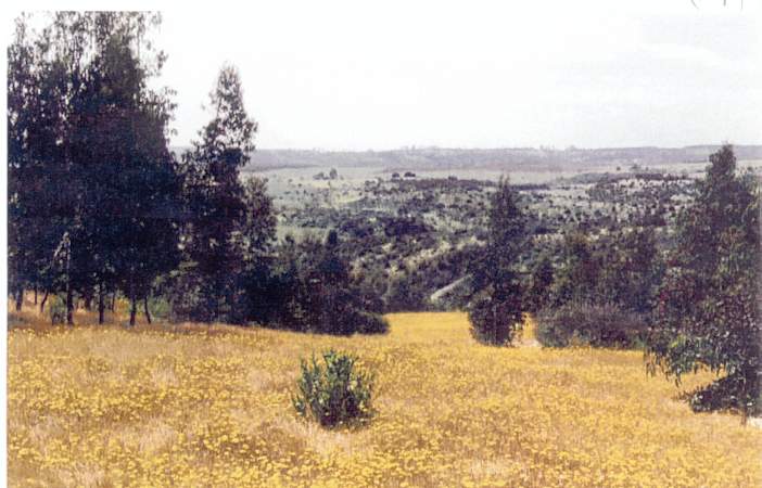 foto_05.jpg