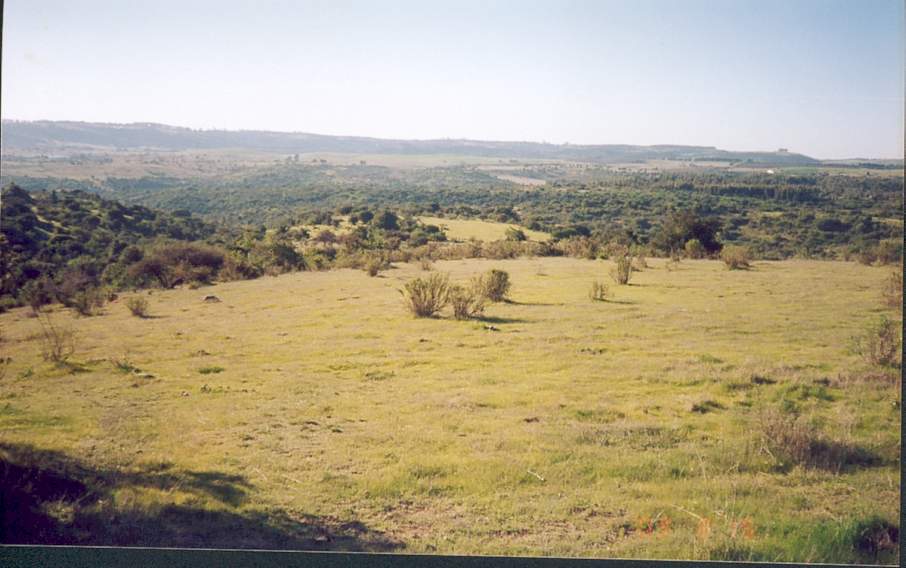 foto_06.jpg