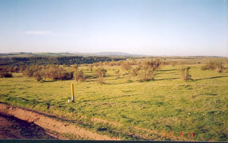 foto_08.jpg