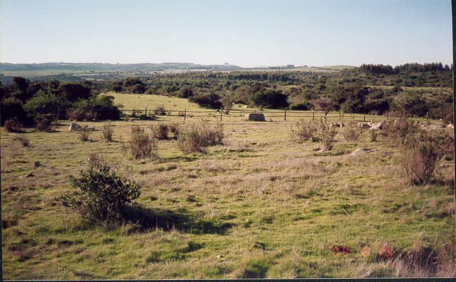 foto_09.jpg