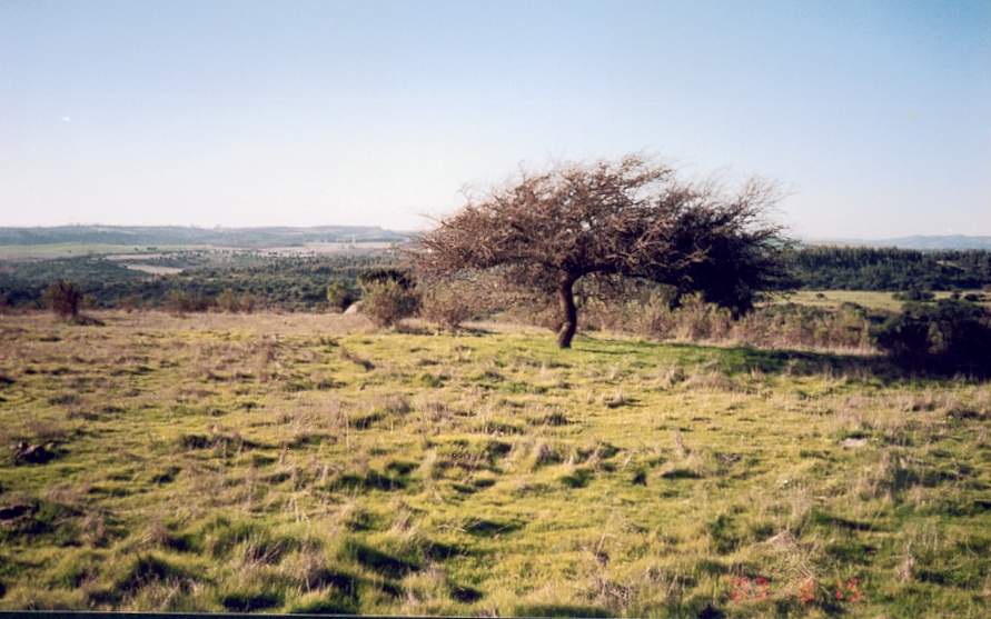 foto_11.jpg
