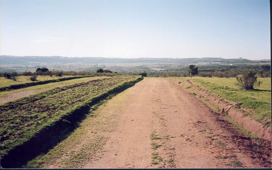 foto_12.jpg