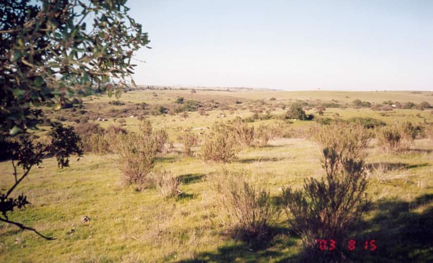 foto_13.jpg