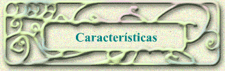 Caractersticas